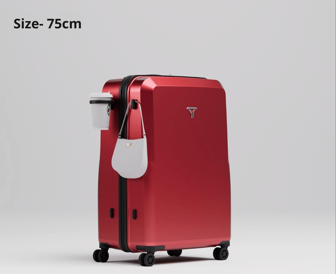 Equipaje facturado grande